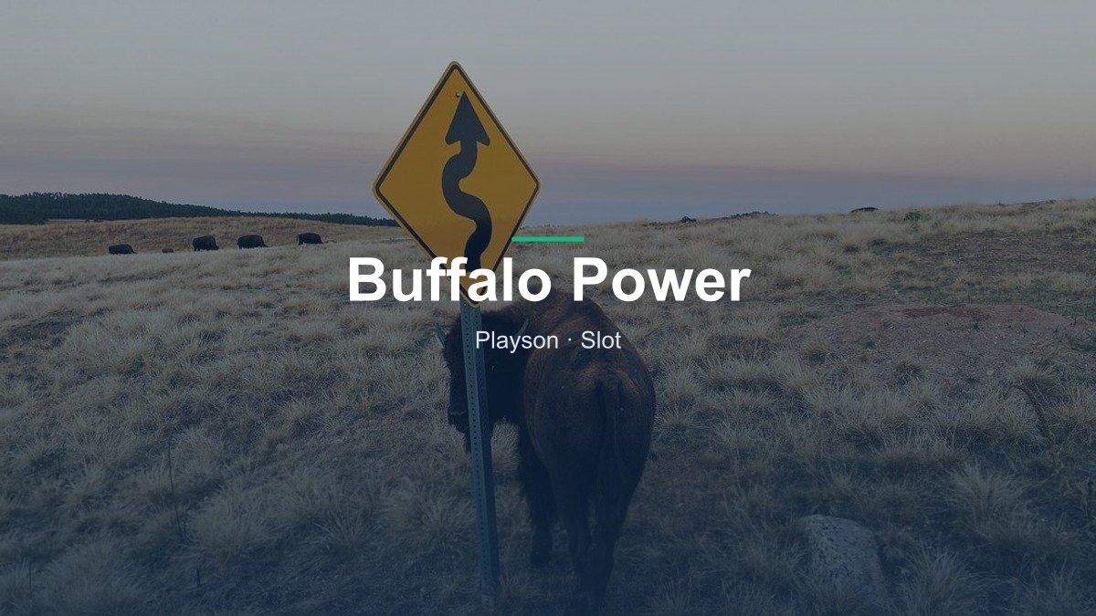 Buffalo Power von Playson im Online Casino